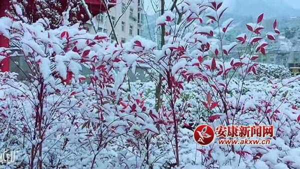 QQͼƬ20180108150948.jpg